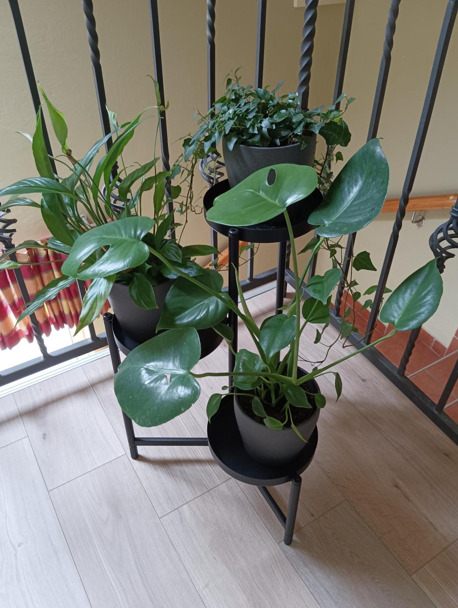 Guesthouse Rezekov Podrum Jastrebarsko Εξωτερικό φωτογραφία